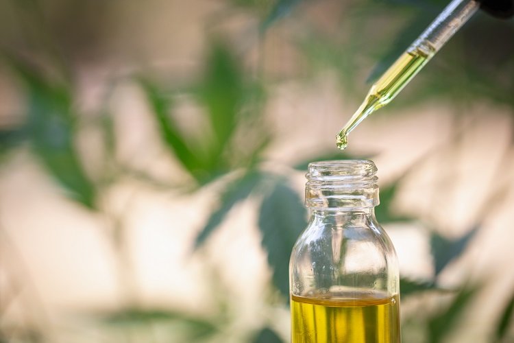Plant Based Medicines Plant Based Medicines